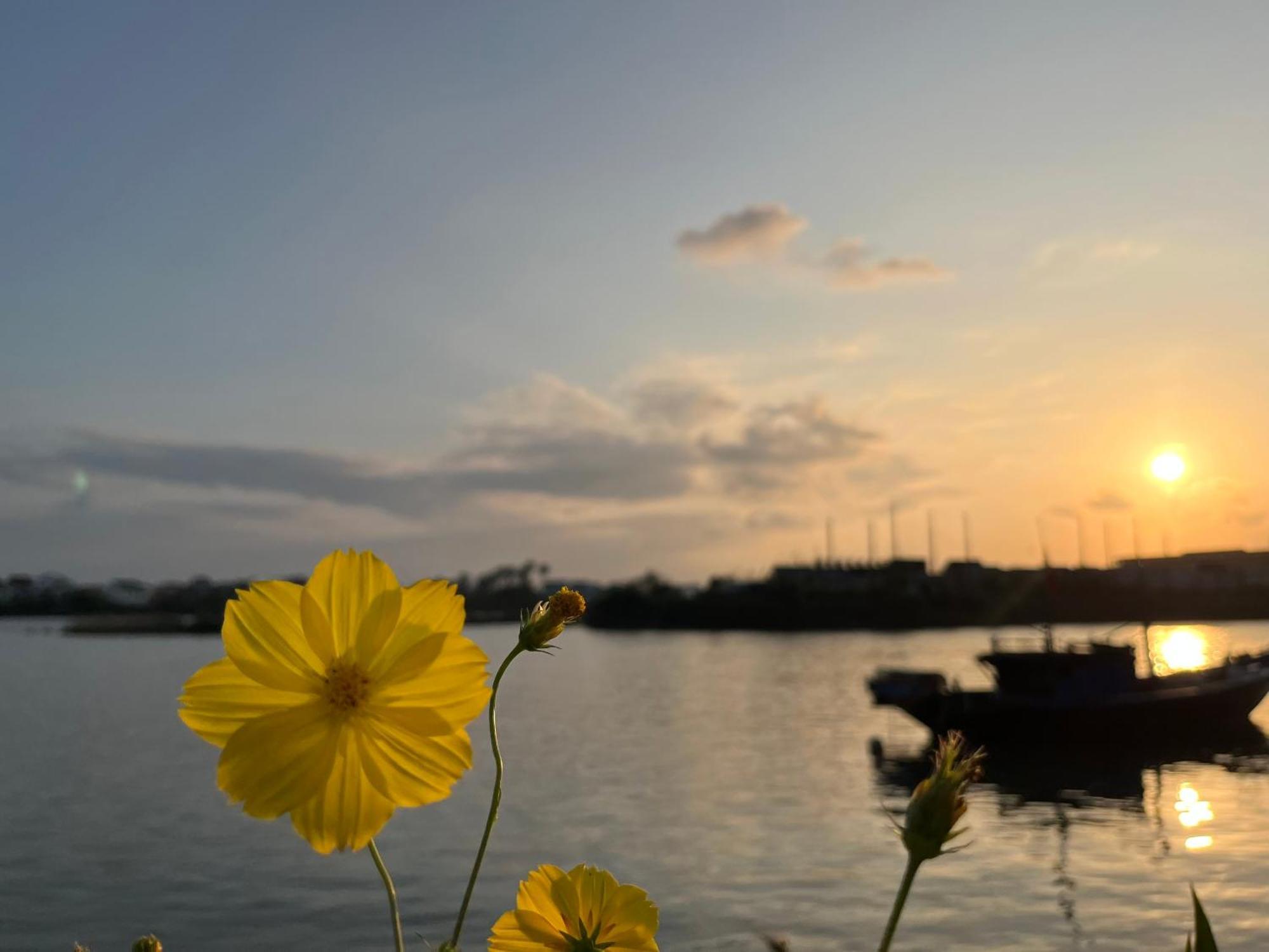 Roxana River Villa Hoi An Dış mekan fotoğraf